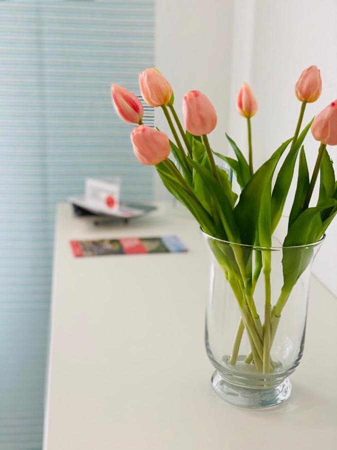 Ferienwohnung Familie Seuferle شويغين - ريكتينباخ المظهر الخارجي الصورة